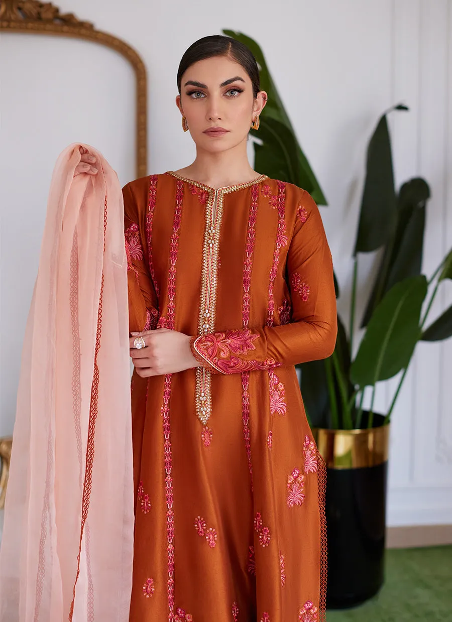 Seneera Embroidered Rust Raw Silk Kalidaar With Dupatta