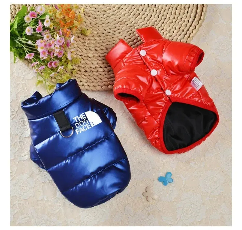 Stylish Snug Pup Puffer Jacket